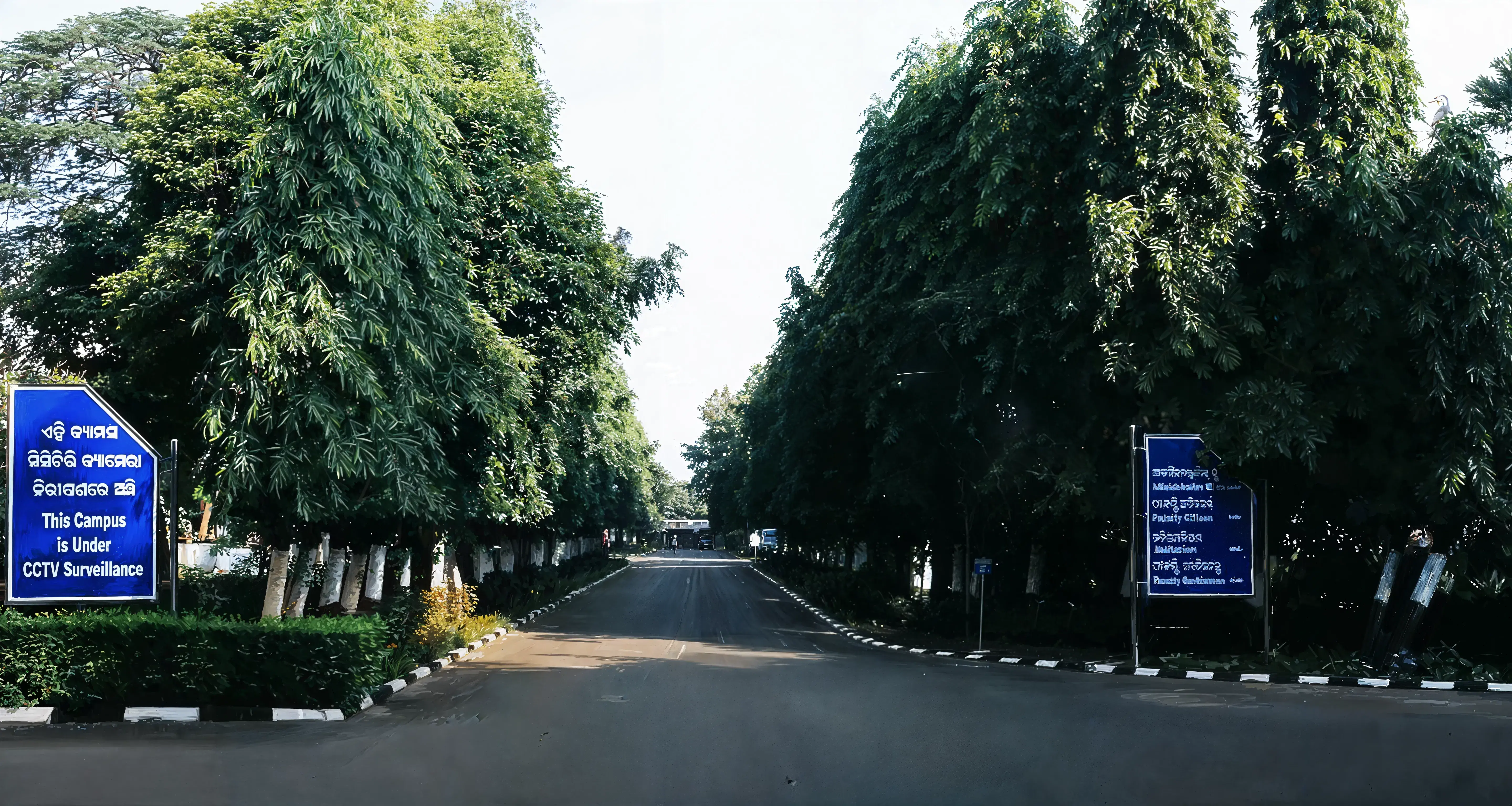 XIMB campus photo 4